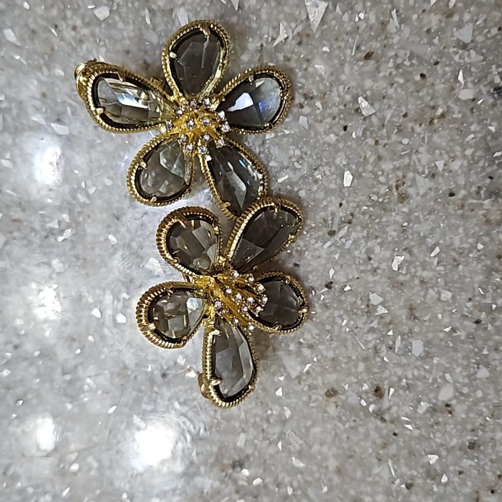 Lucite earrings surrounded by gold trim